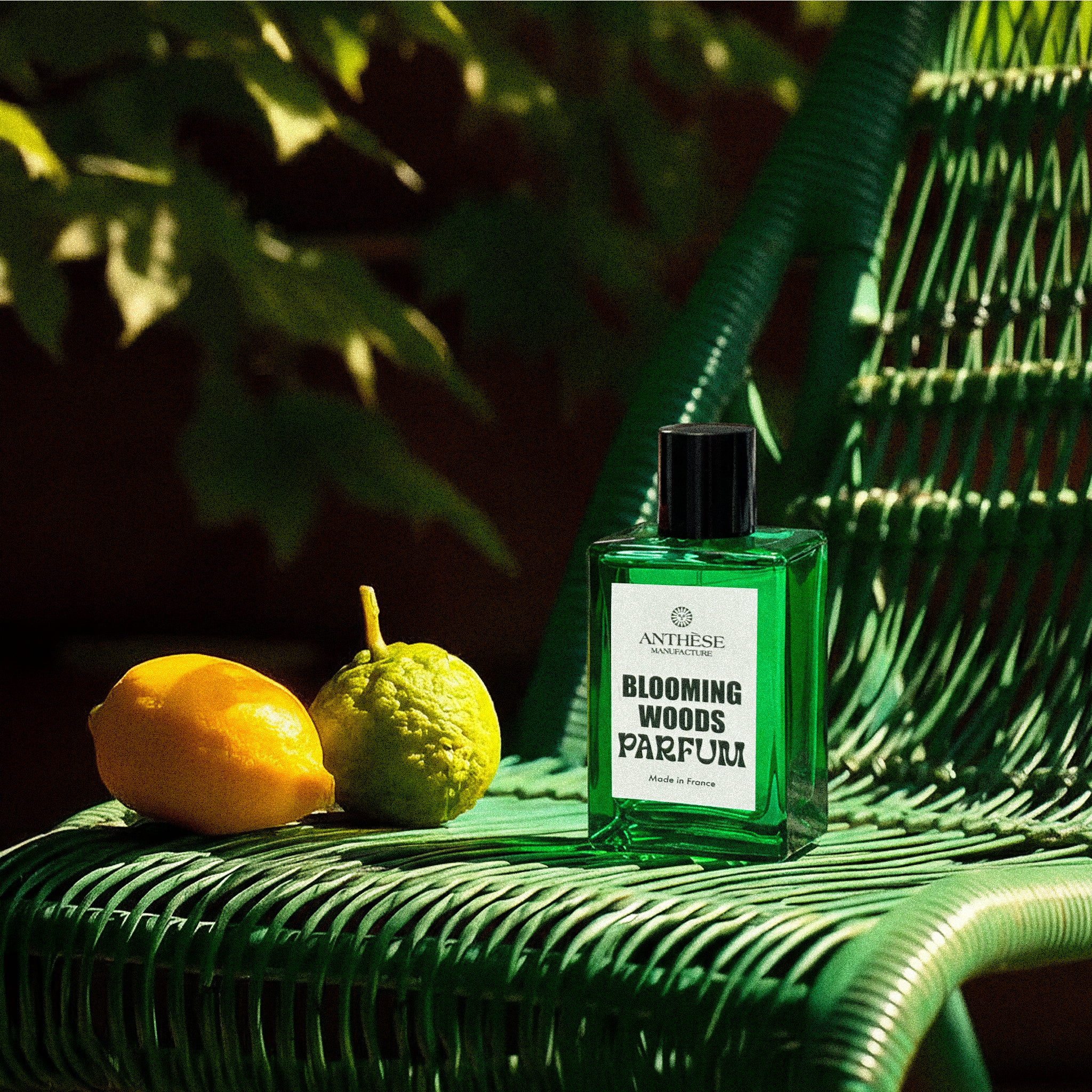 BLOOMING WOODS - Eau de parfum – ANTHESE